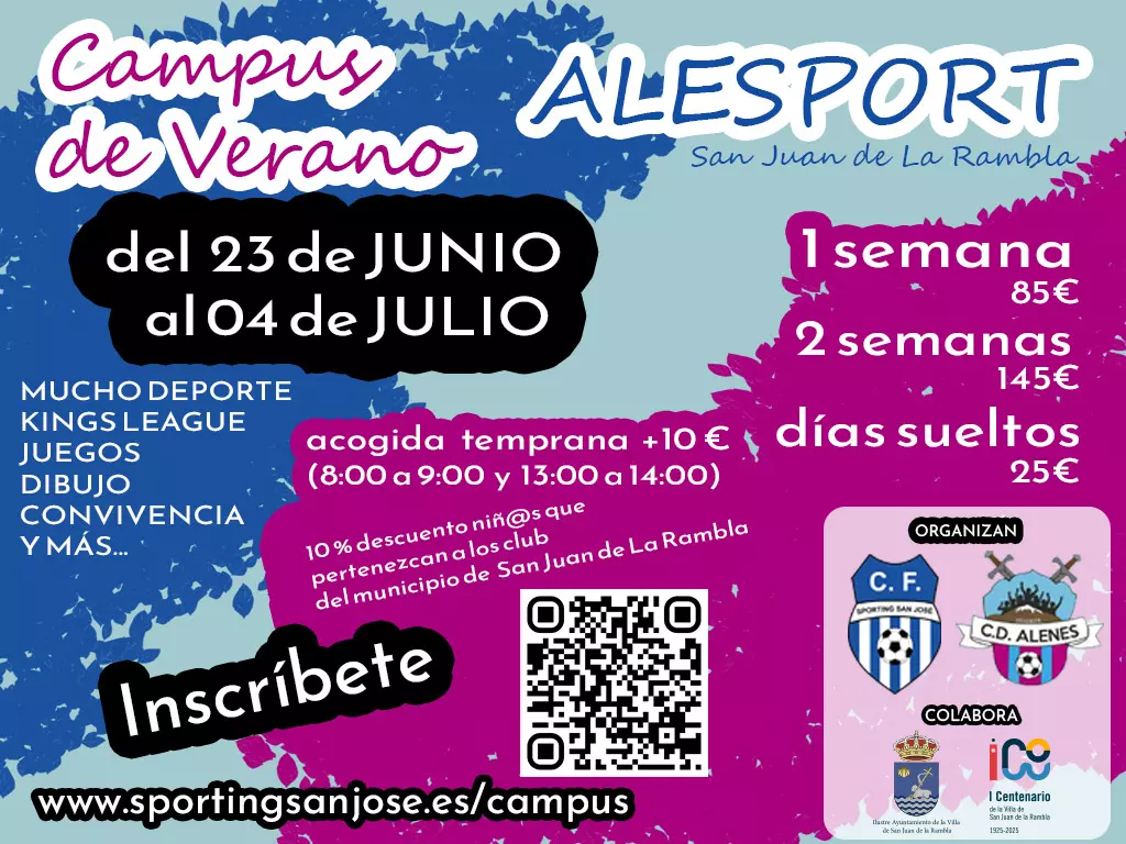 Banner aterrizaje